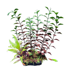 AQUABROO BLOSSOM PLASTIC PLANT 8 INCH?20CM) 1PCS/BAG